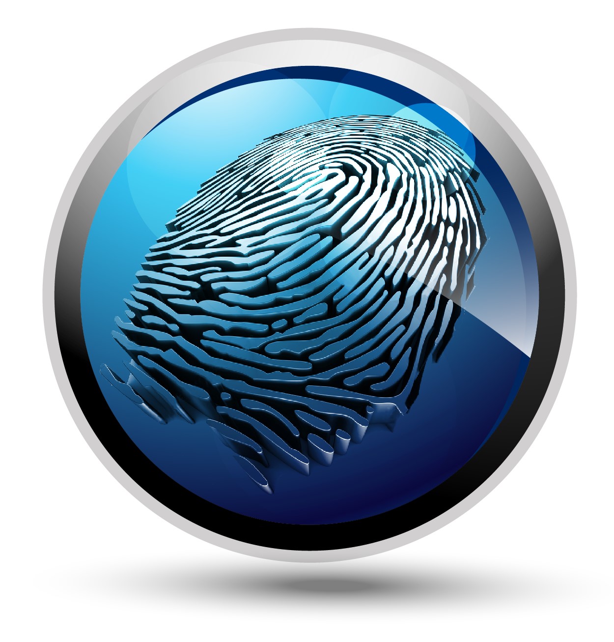 Motiontech logo proofs 2 01 Fingerprint
